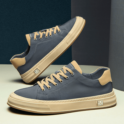 Ariston Trainer