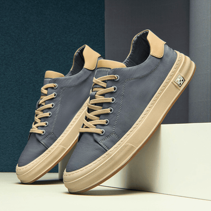 Ariston Trainer