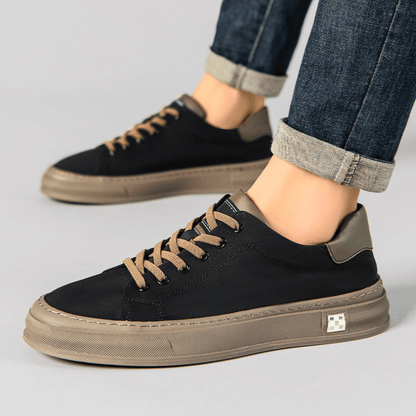 Ariston Trainer