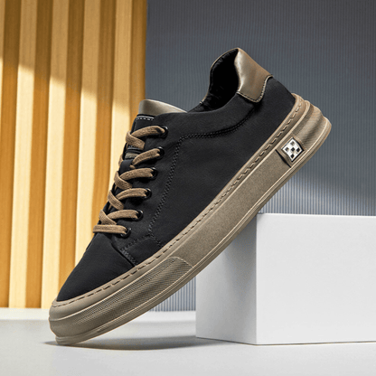Ariston Trainer