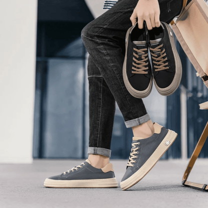 Ariston Trainer