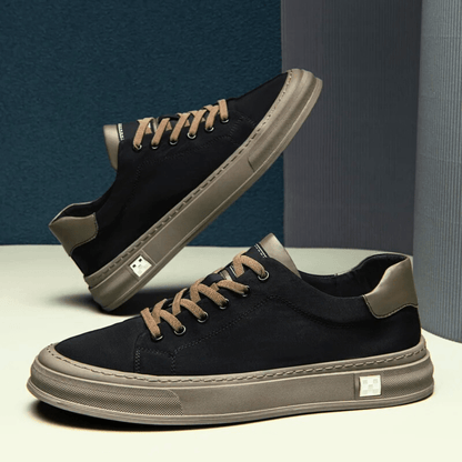 Ariston Trainer