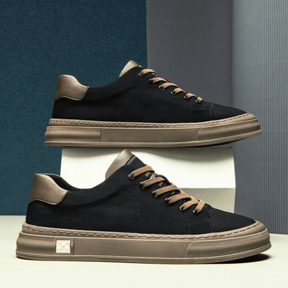 Ariston Trainer